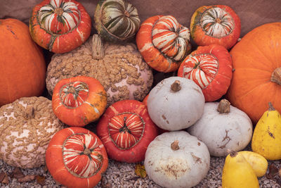 High angle view of pumpkins