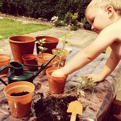Cute boy planting plant while standing in backyard