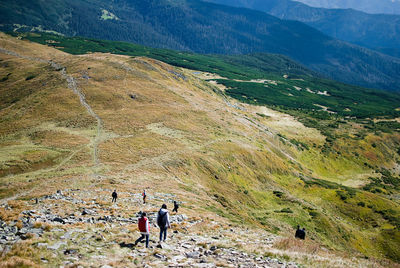 Rear view of men walking on mountain