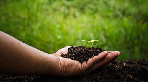 Midsection of woman holding plant