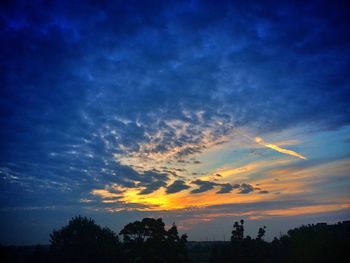 Silhouette trees against scenic sky