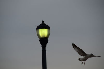 Low angle view of lamp post against sky