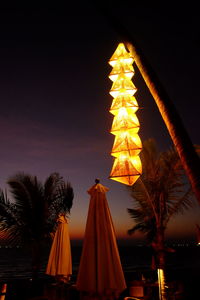 Low angle view of illuminated christmas tree at night