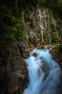 Scenic view of waterfall in forest