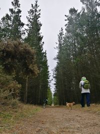 Rear view of man and dog in forest