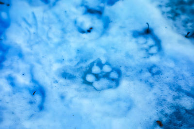 Full frame shot of snow covered field