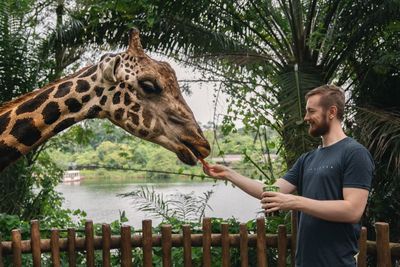 Man standing by tree in zoo