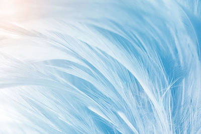Blue with orange light color trends feather texture background