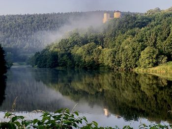 Scenic view of lake by trees in forest