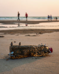 Single use. a plastic water bottle washed up on the beach with seashells growing on it.