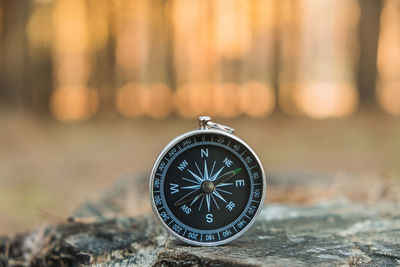 A compass seeking orientation in nature