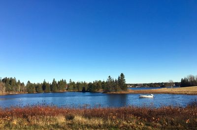 Scenic view of lake against clear blue sky