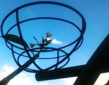 Low angle view of bird against sky