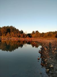 Reflection of trees in lake against clear sky