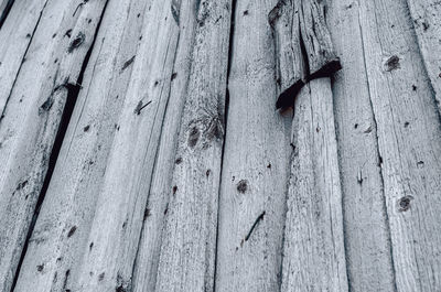 Full frame shot of wooden door