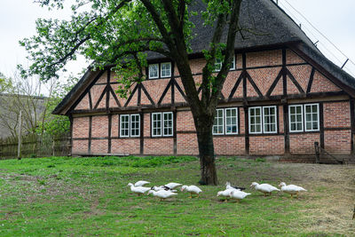 View of a building on field