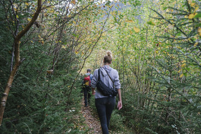 Rear view of man walking in forest