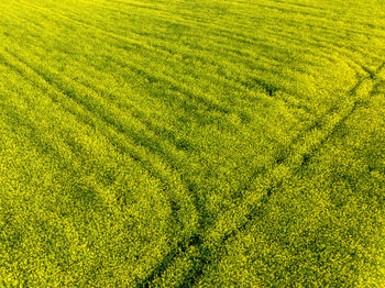 Full frame shot of field