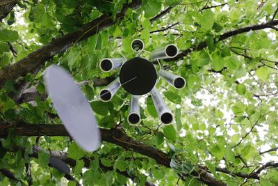 Low angle view of plants