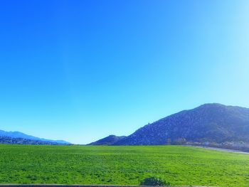 Scenic view of field against clear blue sky