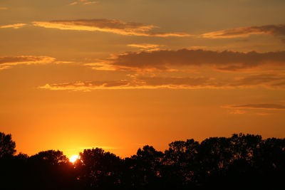 Low angle view of silhouette trees against orange sky