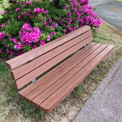 High angle view of pink flowering plants in park