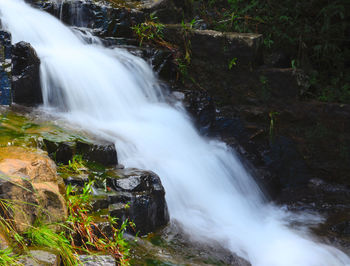 Scenic view of waterfall in forest