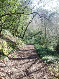 Plants and trees growing outdoors