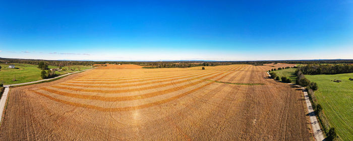 Scenic view of agricultural field against clear blue sky