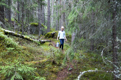 Rear view of woman walking on dirt road amidst trees in forest