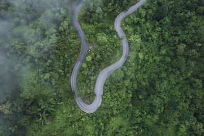 High angle view of road amidst trees in forest