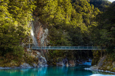 Bridge over river in forest