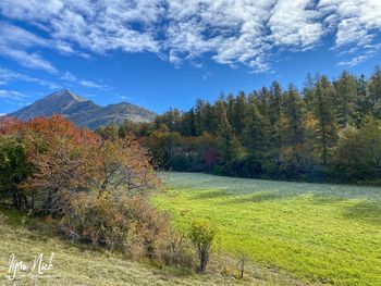 Scenic view of landscape against sky during autumn