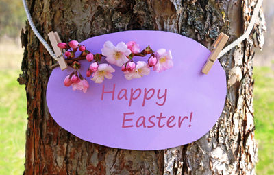 Close-up of text on tree trunk