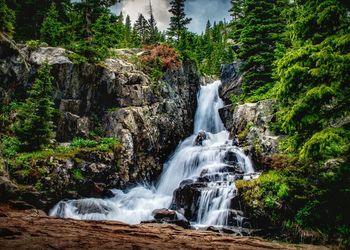 View of waterfall in forest