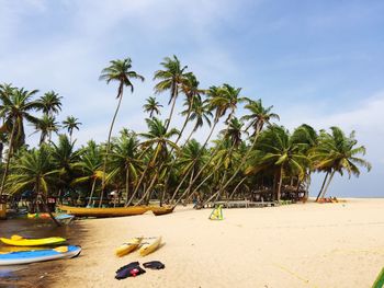 Palm trees on beach against sky