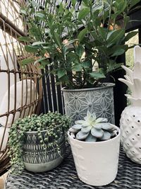 Close-up of potted plants in basket