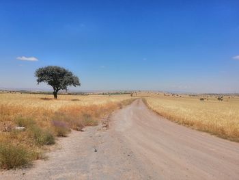 Dirt road amidst field against sky