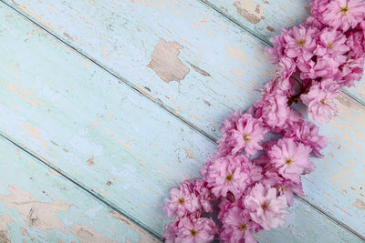 High angle view of pink flowering plant on table