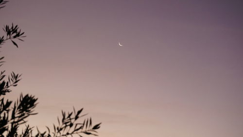 Close-up of moon against clear sky at night