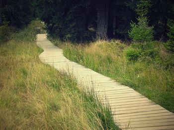 Walkway amidst grass against trees