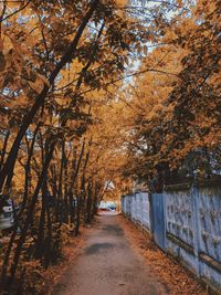 Empty road amidst trees during autumn