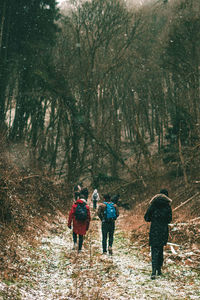 Rear view of people walking on field in forest during winter