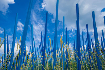 Close-up of stalks in field against blue sky