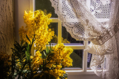 Close-up of yellow flowers against the window