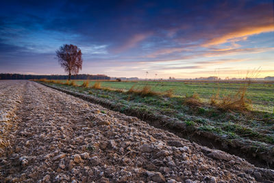 Scenic view of field against sky during sunset