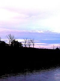 Silhouette of trees at sunset