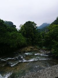 Stream flowing through rocks in forest against sky