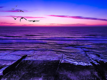 Birds flying over sea against sky during sunset