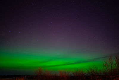 Scenic view of field against sky at night